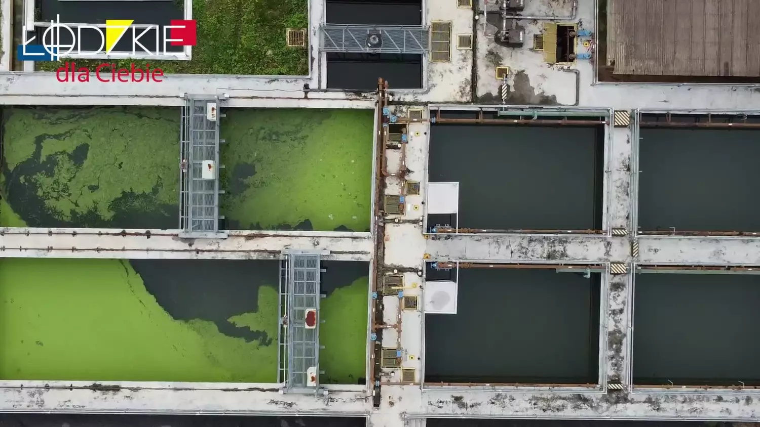 lodzkiedlaciebie-5-2025.mp4