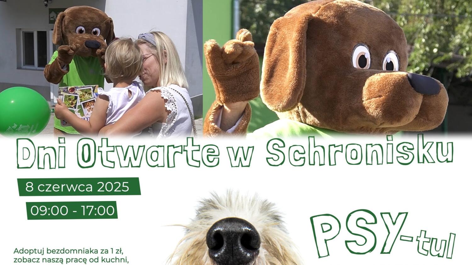 news-bel-03062025-dni-otwarte-schronisko-zap-www.mp4