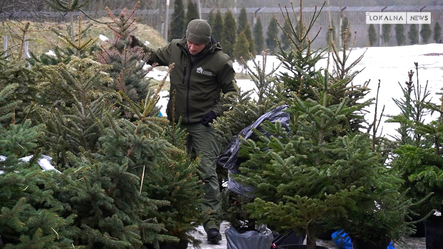 news-bel-10022026-schronisko-choinki-www.mp4